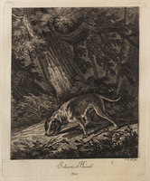 KG 01073
          <br/>
          Entwurf einiger Thiere. Erster Theil. (18 bladen)
          <br/>
          <em>Ridinger, Johann Elias (1698-1767)</em>